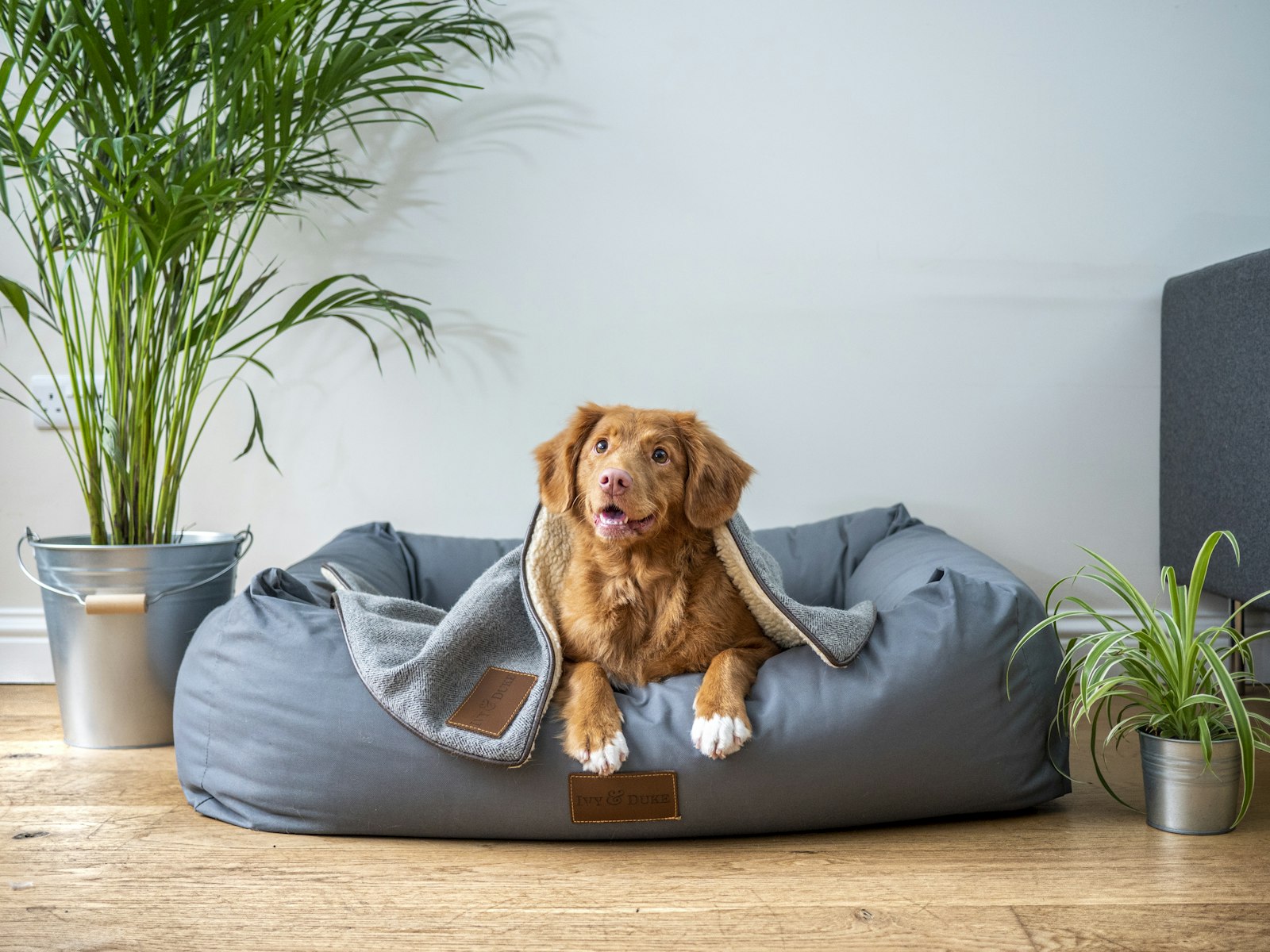 The Cosy Den